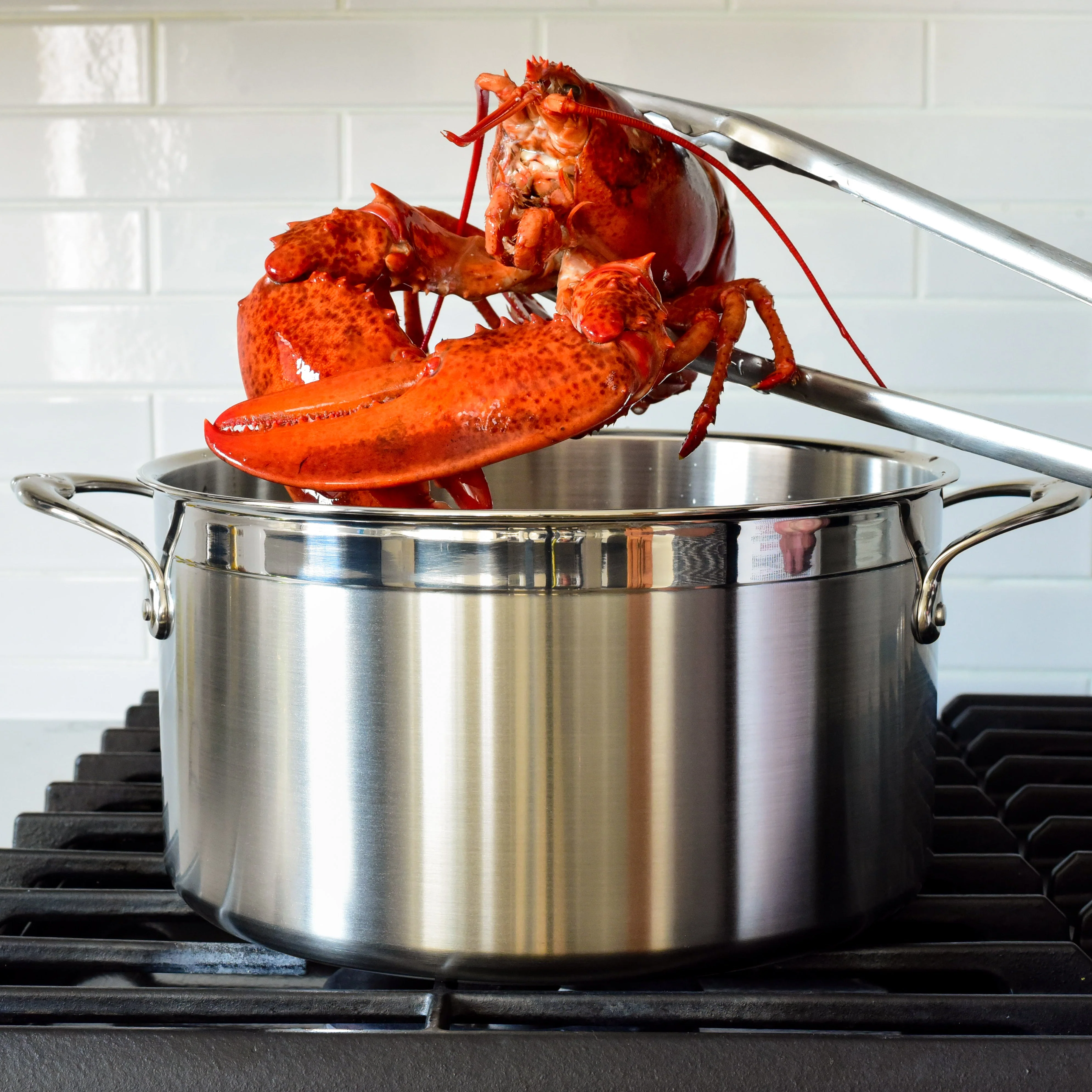 Hestan ProBond Induction Stainless Steel Essential Pan, Stock Pot & Titum™ Non-Stick Skillet Set: 5 Piece - Image 5